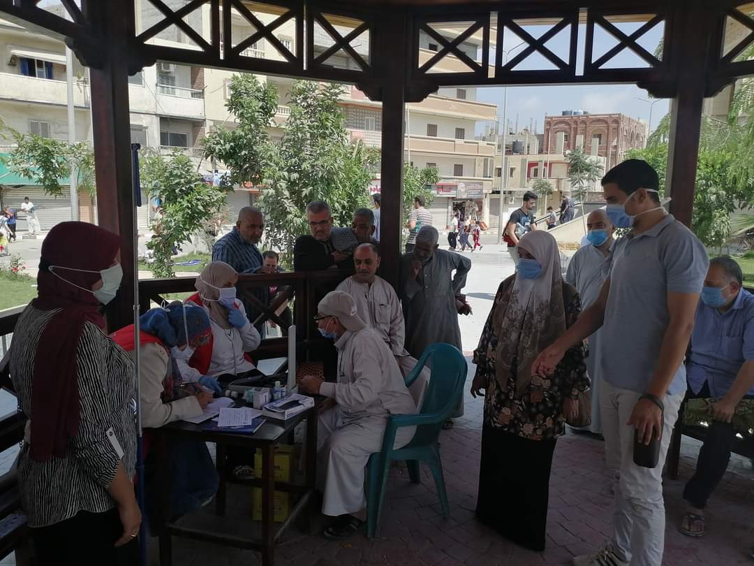 تعليم سيناء
