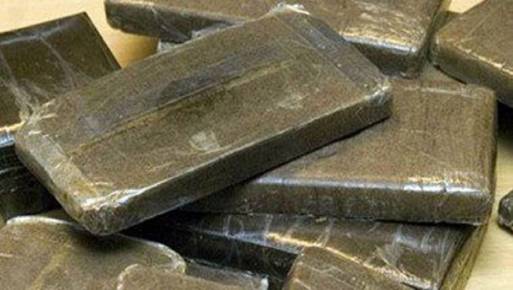ضبط 220 طربة حشيش