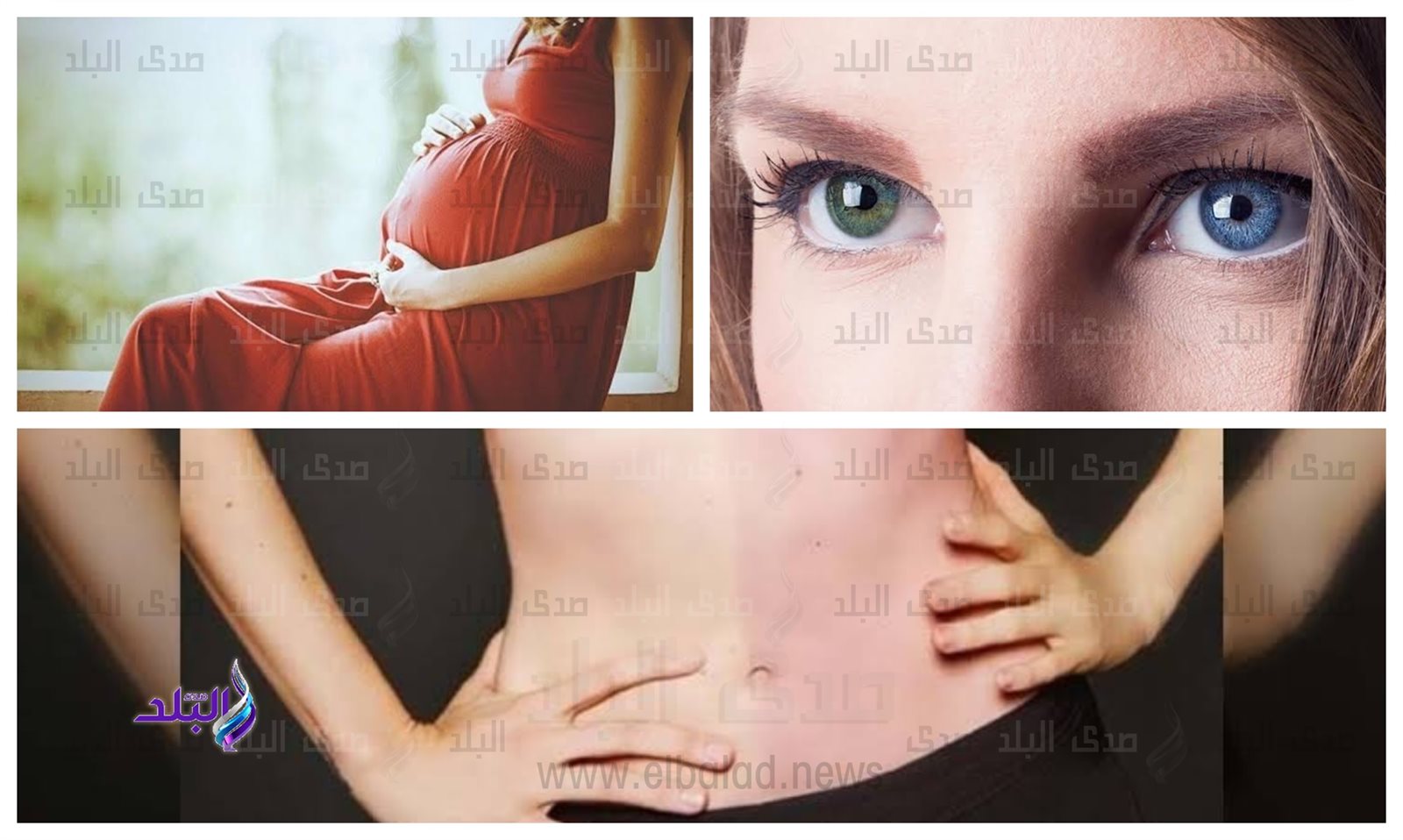كايميرا