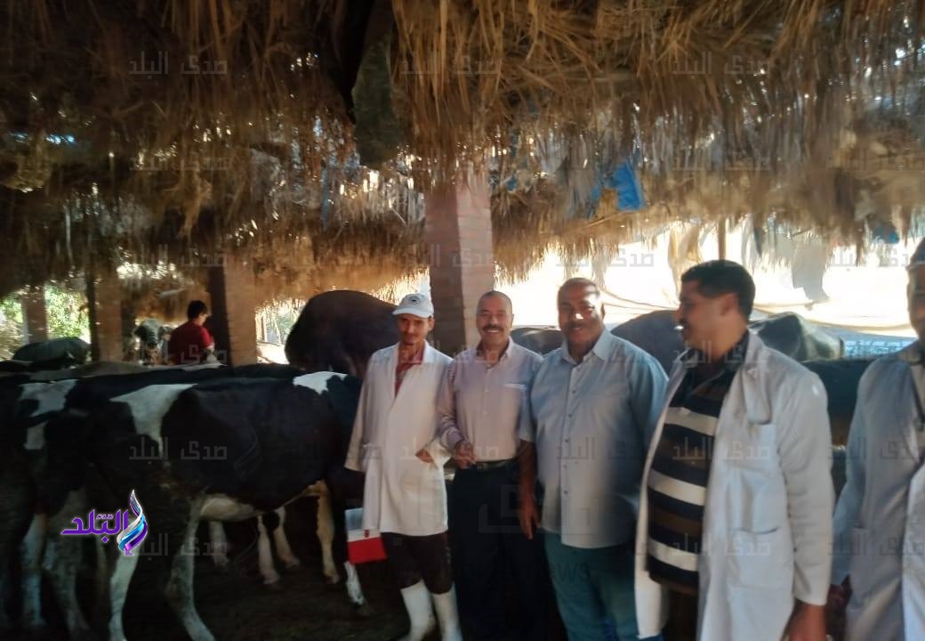 تحصين ماشية