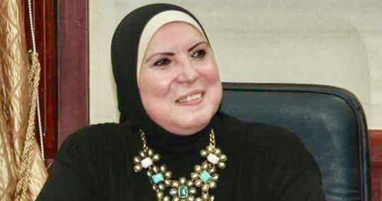 نيفين جامع، وزيرة التجارة والصناعة