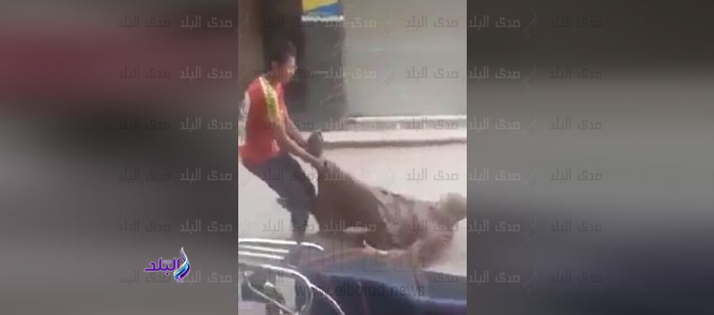 سحل عجوز على يد شاب في عز النهار