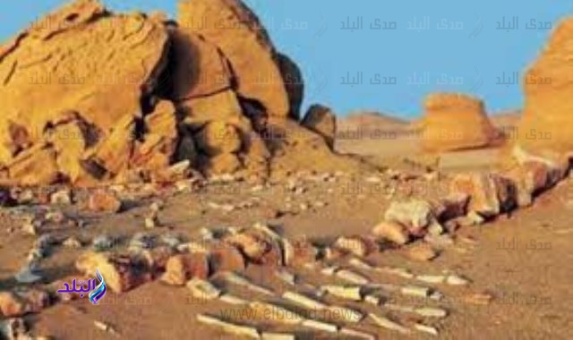 وادى الحيتان