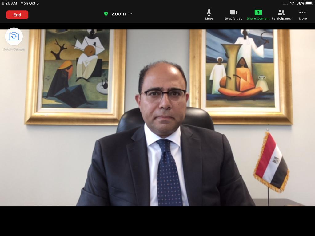 السفير أحمد أبو زيد