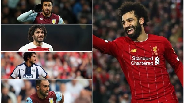 المحترفين المصريين