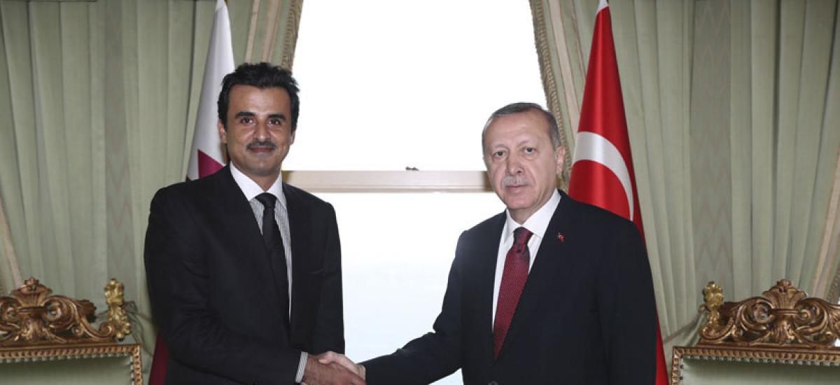 أردوغان وتميم