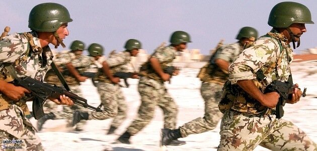 القوات المسلحة 