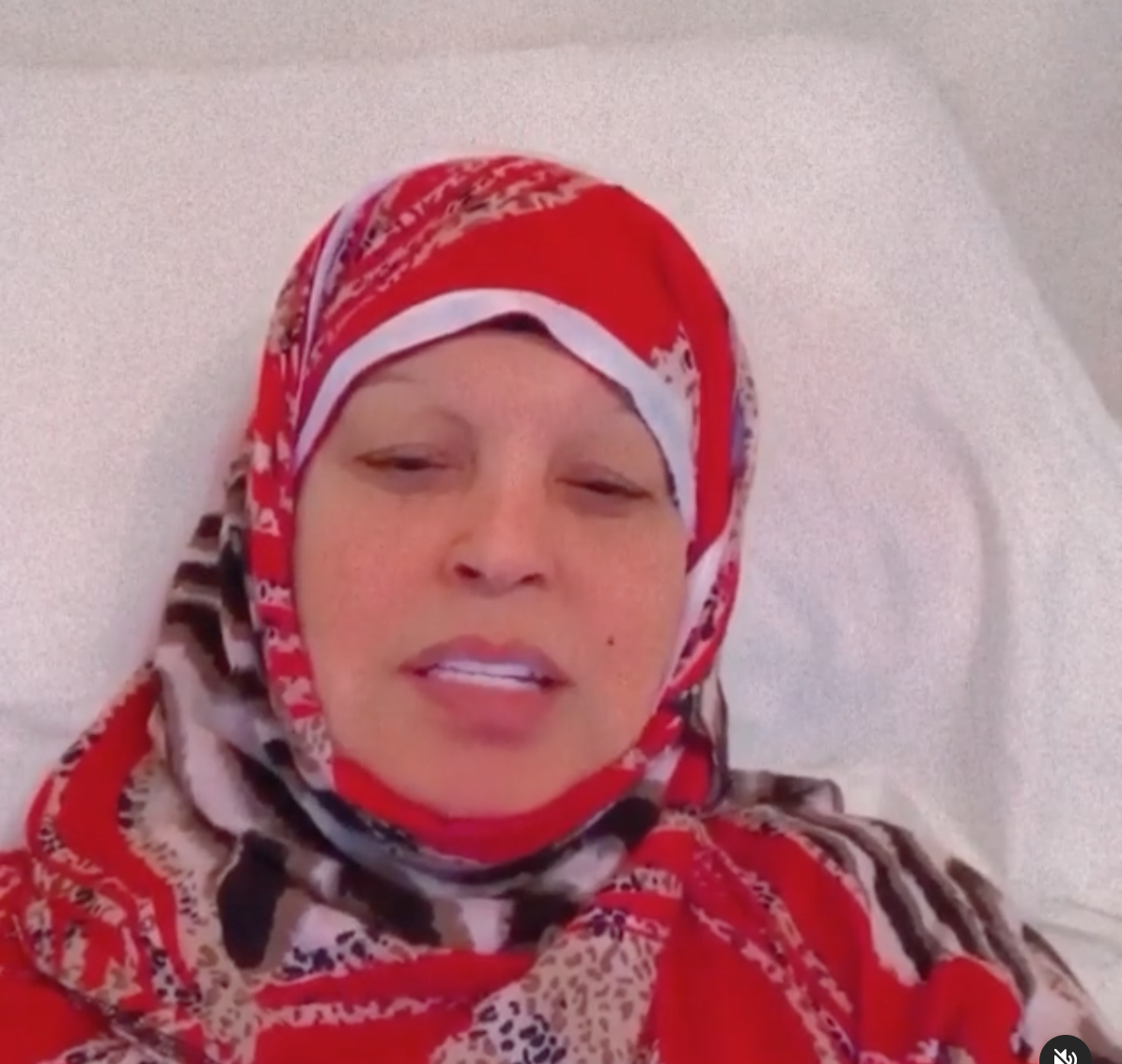 فيفي عبدة 