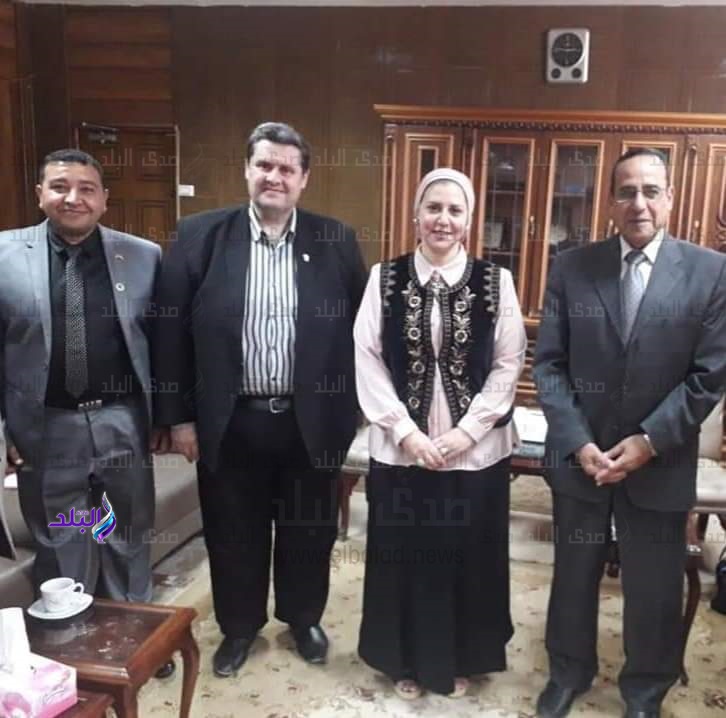 مدارس اللغات بسيناء