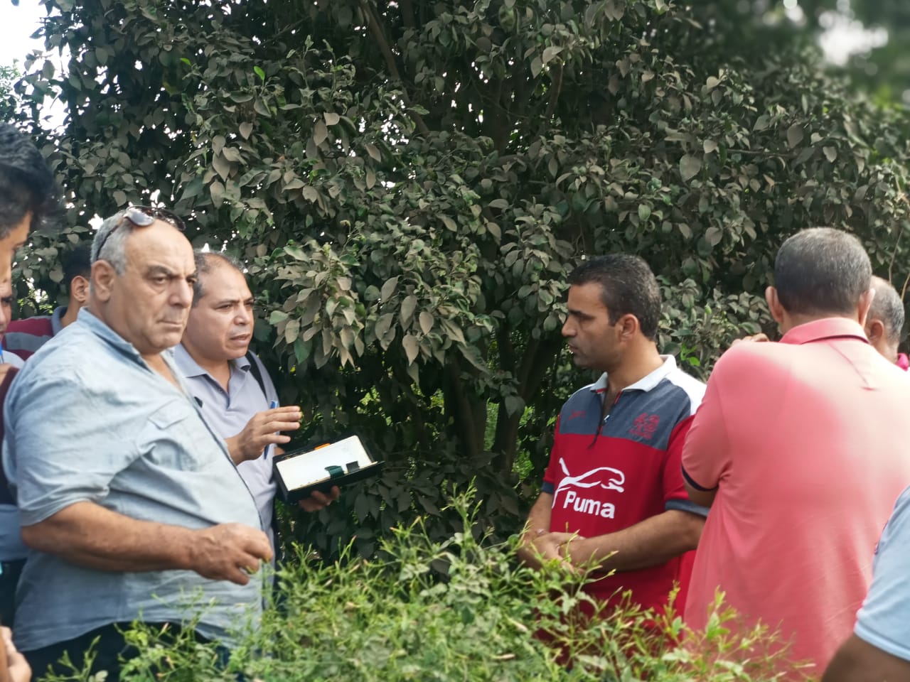 وكيل الزراعة بالغربية يتفقد مزارع الياسمين لتصنيع العطور