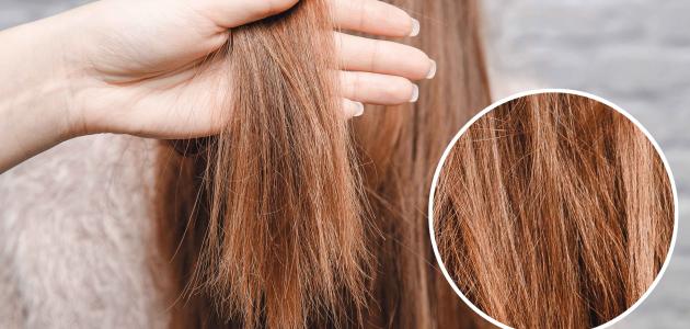 التخلص من الشعر التالف