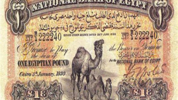 جنيه الجملين