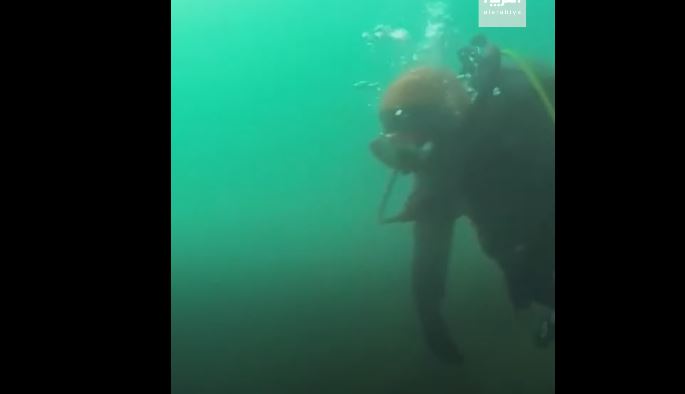  ياباني يبحث عن زوجته منذ 10 سنوات