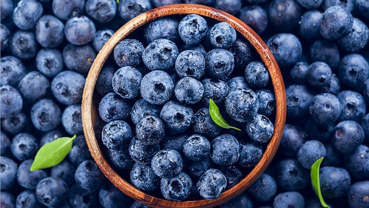 دراسة: التوت الأزرق فعال في قتل الخلايا السرطانية وخفض نسبة السكر