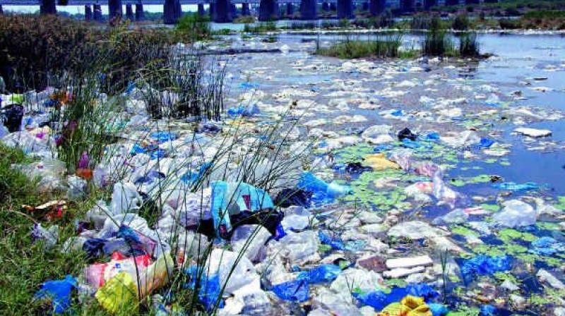 الأكياس البلاستيك تؤثر على صحة المواطنين وتلوث البحار