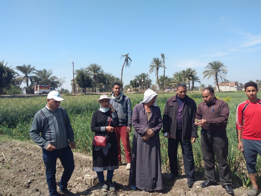 زراعة الفيوم تنظم حملة لمتابعة مصائد دودة الحشد الخريفية 