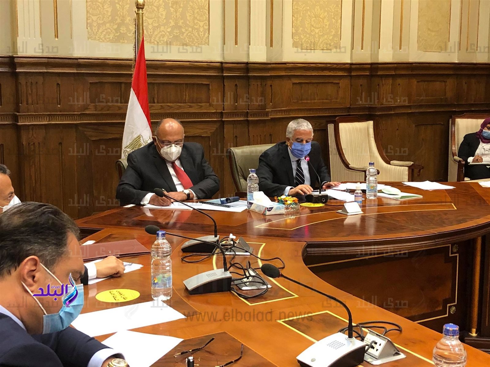 سامح شكرى وزير الخارجية