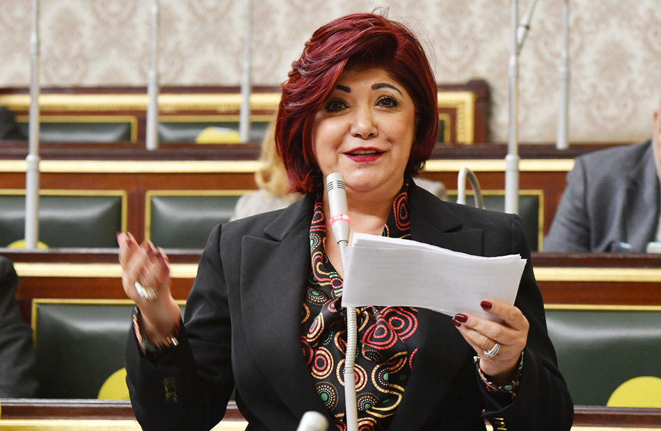 النائبة نورا على رئيس لجنة السياحة والطيران بمجلس النواب