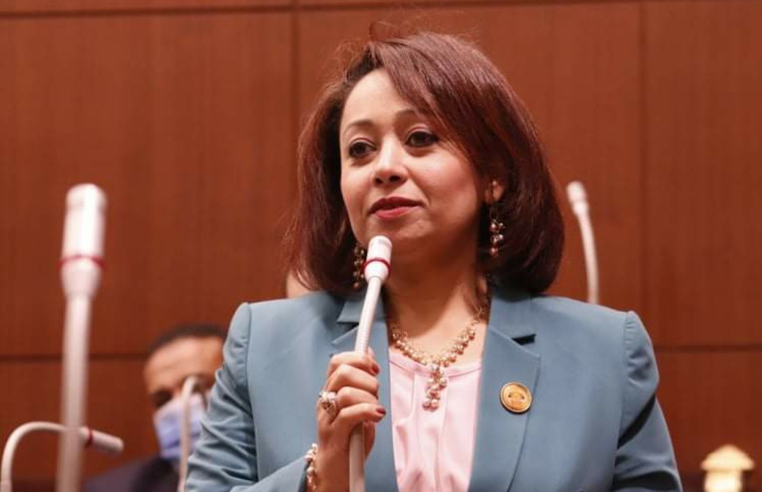 النائبة رشا إسحاق النائبة رشا إسحاق