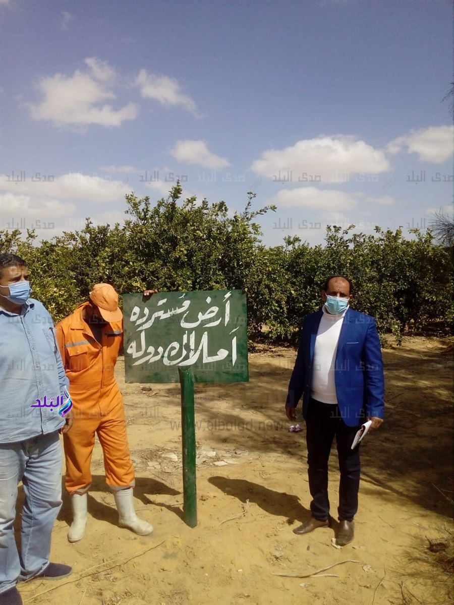 .استرداد 4 قطع أراضي أملاك الدولة