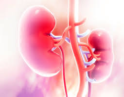 طرق الوقاية من مضاعفات السمنة على الكلى