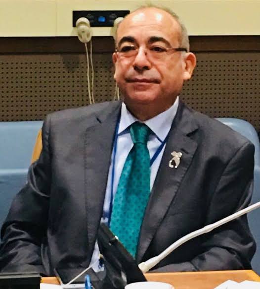 السفير محمد إدريس مندوب مصر في الأمم المتحدة