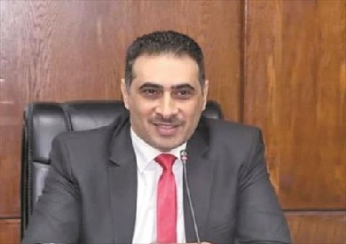 عميد سياسة واقتصاد القاهرة 