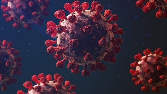  متعافي كورونا محميون 6 أشهر.. وهؤلاء الأكثر عرضة للعدوى