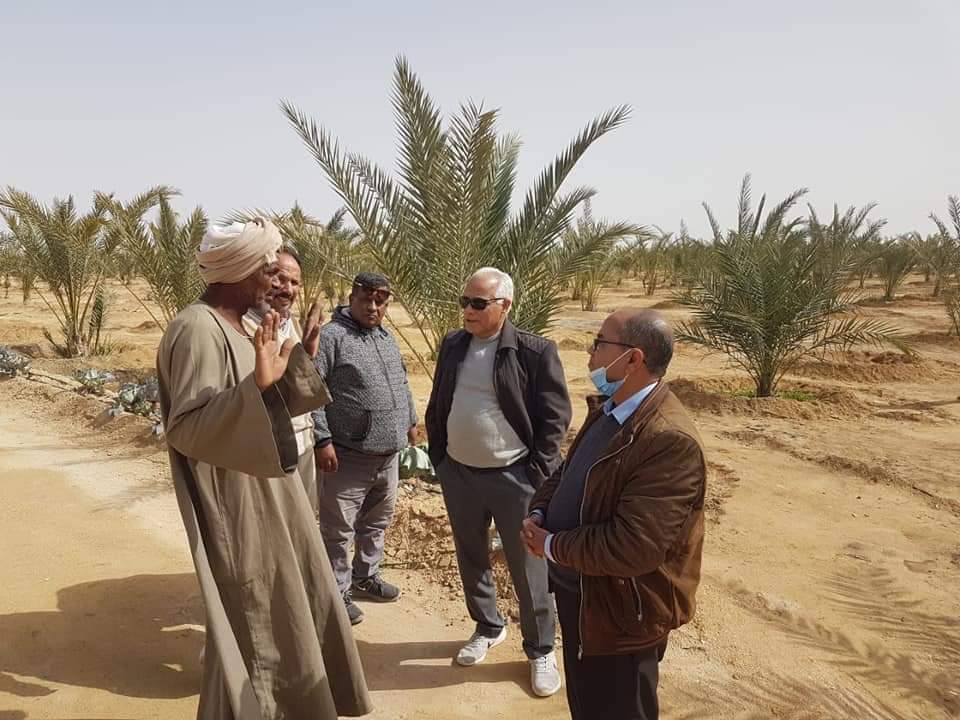  مشروع قومي يحقق طفرة زراعية بأرض الفيروز