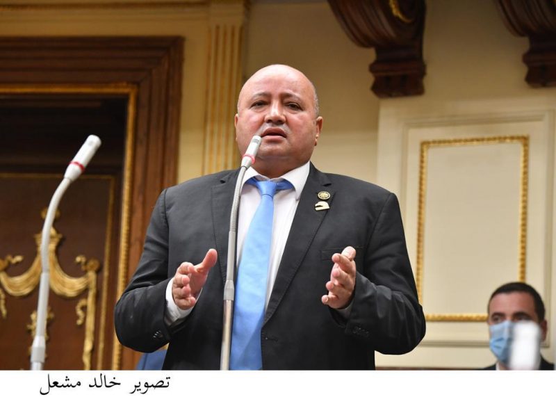النائب مجدى الأمير
