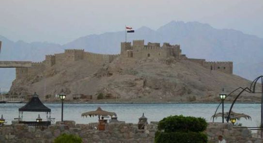 ارشيفية 