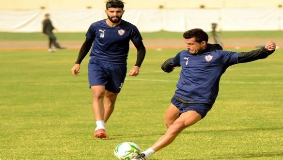 طارق حامد