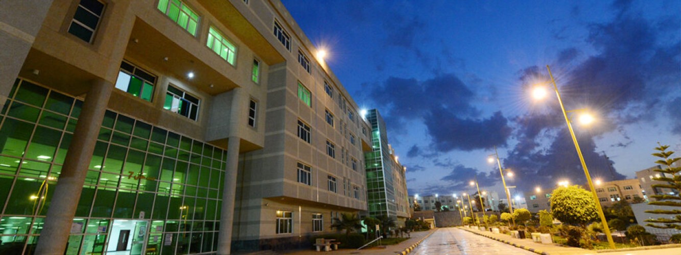 جامعة الملك خالد / السعودية
