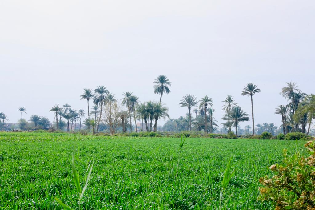 مناطق زراعية