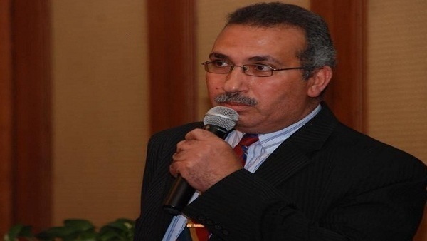 الخبير الاقتصادي عادل عامر
