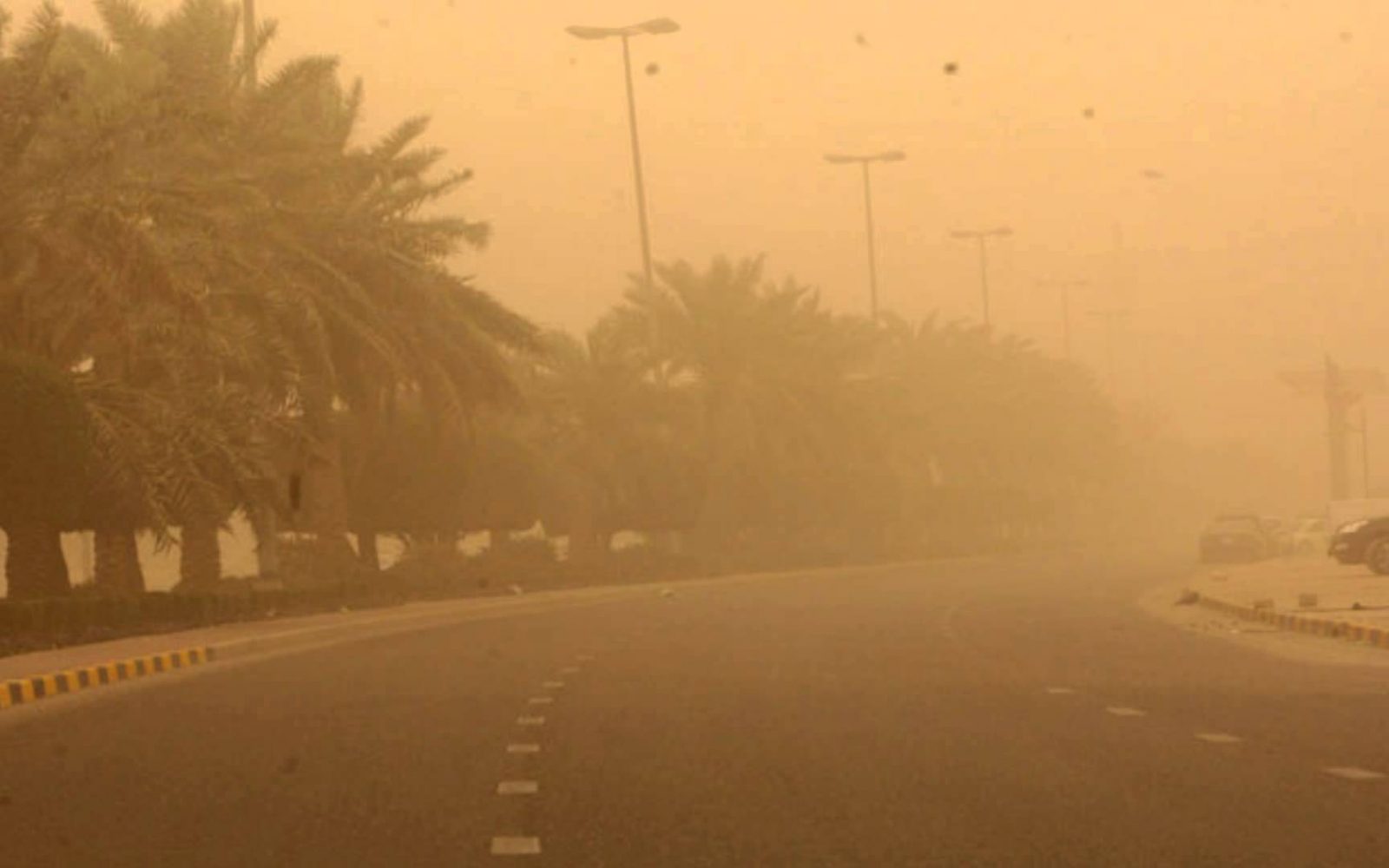 طقس الغد 