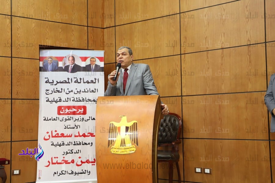 محمد سعفان وزير القوي العاملة 