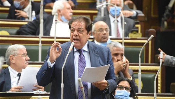 النائب محمد أبو العينين، وكيل مجلس النواب