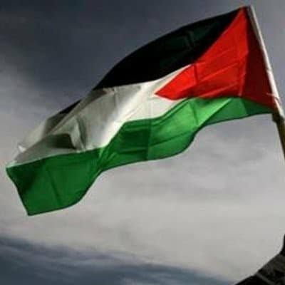 فلسطين 