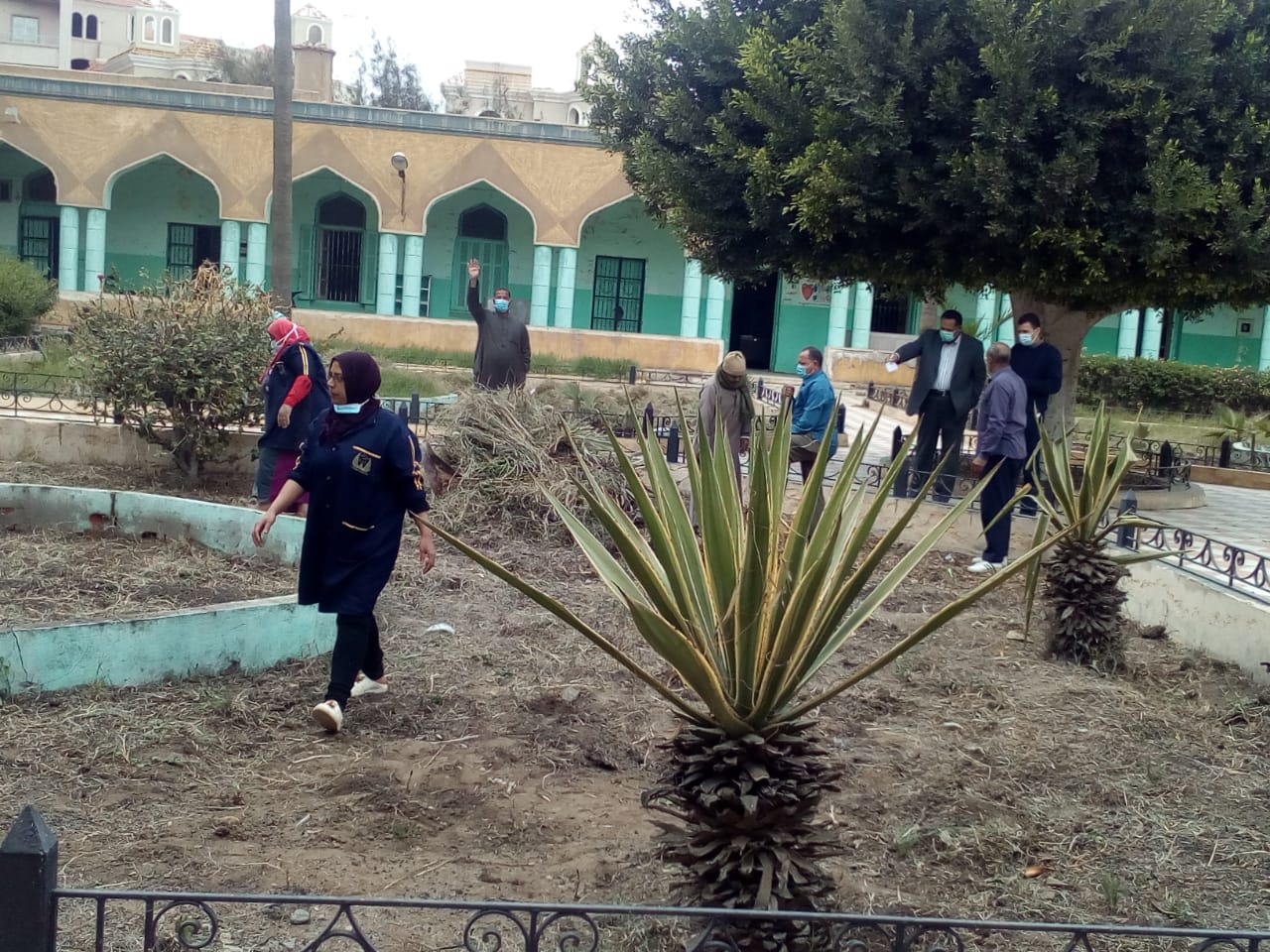 وتشجير مستشفي حميات المحلة الكبري