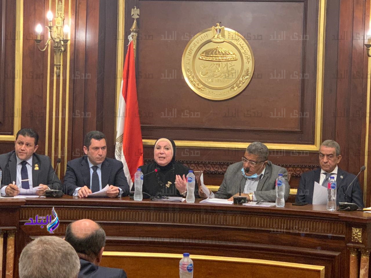  لقاء نيفين جامع وزيرة التجارة والصناعة بالنواب