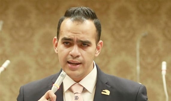النائب محمود توشكي