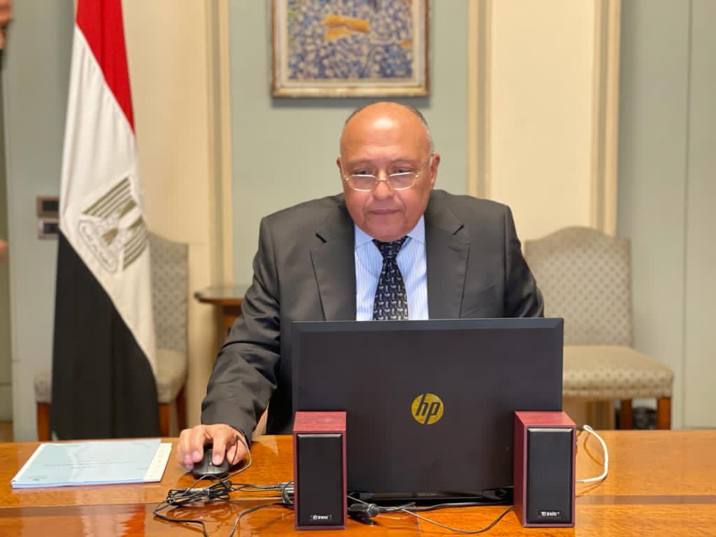 وزير الخارجية سامح شكري