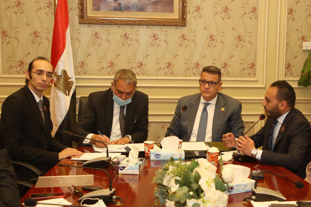  حقوق الانسان في مصر