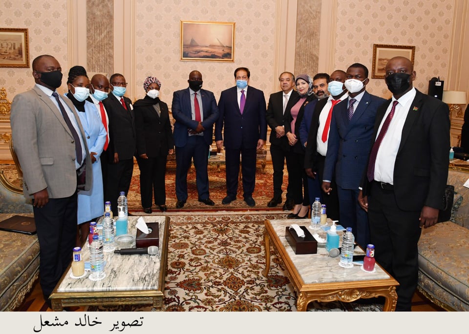 محمد أبو العينين وكيل مجلس النواب