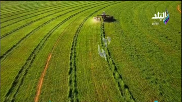 توشكى الخير