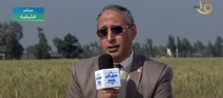 على لاشين
