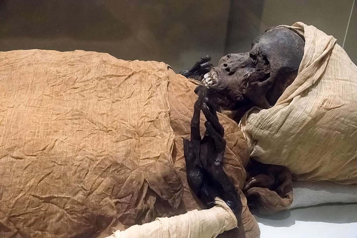 مومياء 