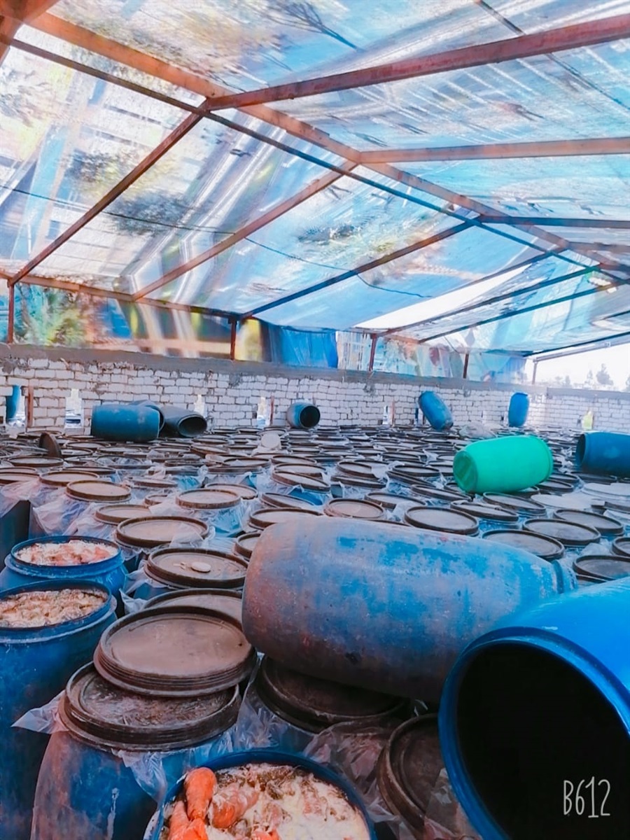 ضبط كميات من السلع الغذائية منتهية الصلاحية في أسواق دمنهور