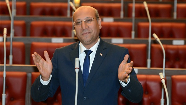  النائب عمرو عكاشة عضو مجلس الشيوخ